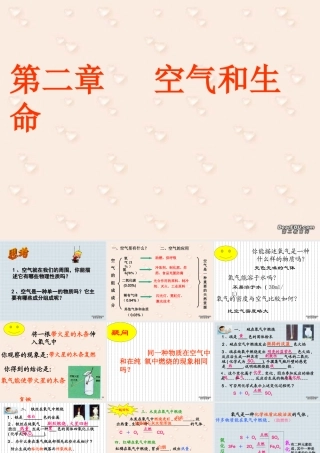 初三化学空气和生命单元复习 浙教版 课件