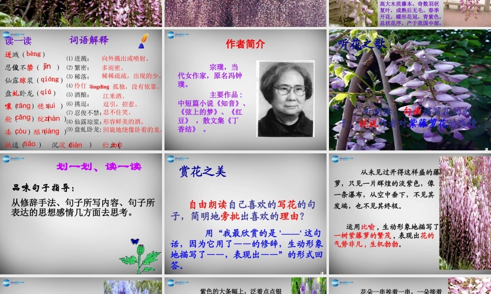 中学七年级语文上册 第16课 紫藤萝瀑布课件 (新版)新人教版 课件