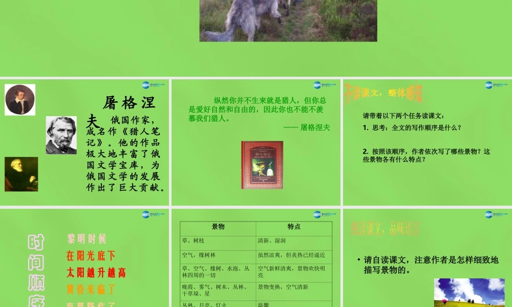 七年级语文上册 12 树林和草原课件 语文版 课件