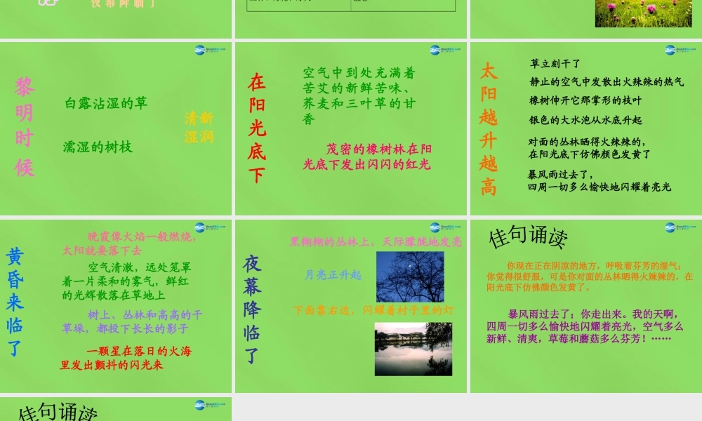 七年级语文上册 12 树林和草原课件 语文版 课件