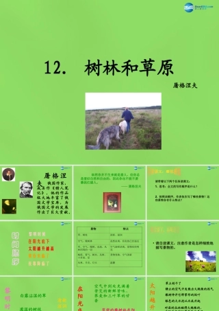 七年级语文上册 12 树林和草原课件 语文版 课件