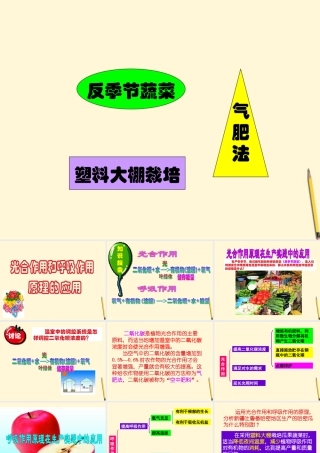 七年级生物上册(光合作用和呼吸作用原理的应用)课件 苏教版 课件