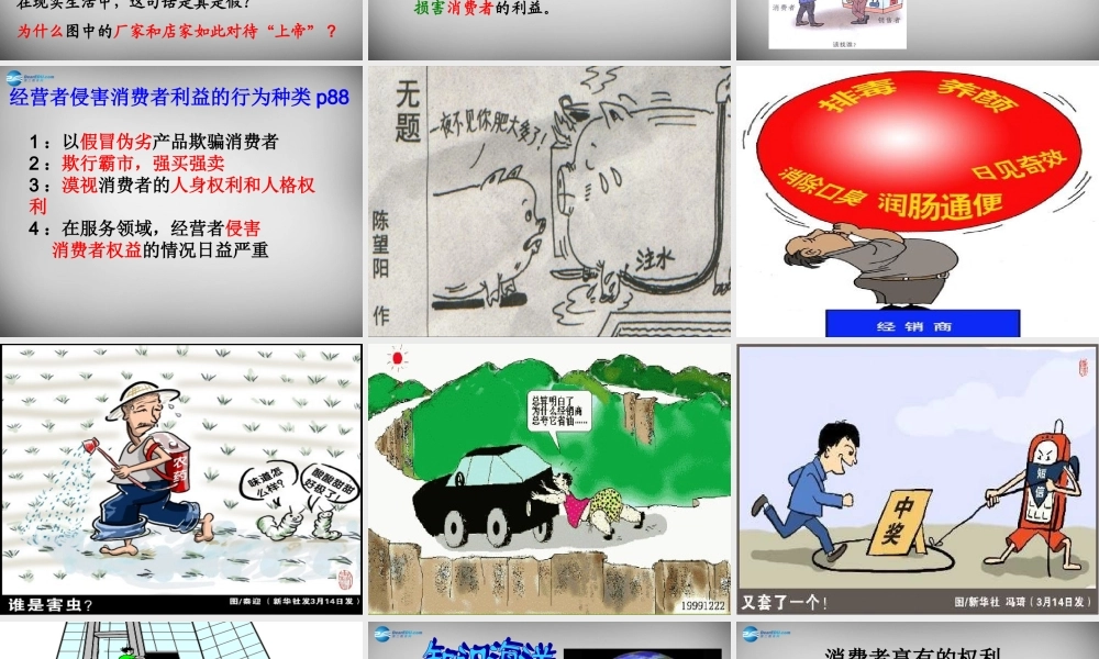 八年级政治下册 第八课 第1框 我们享有上帝的权利课件 新人教版 课件