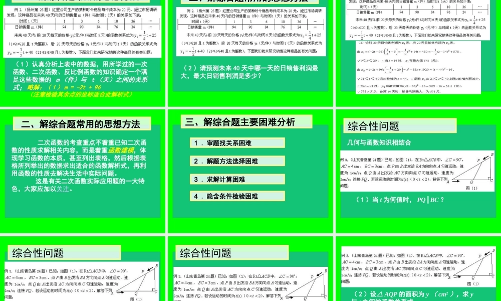 中考数学专题探究-综合性问题 试题