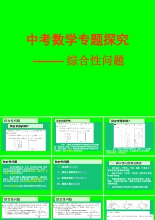 中考数学专题探究-综合性问题 试题