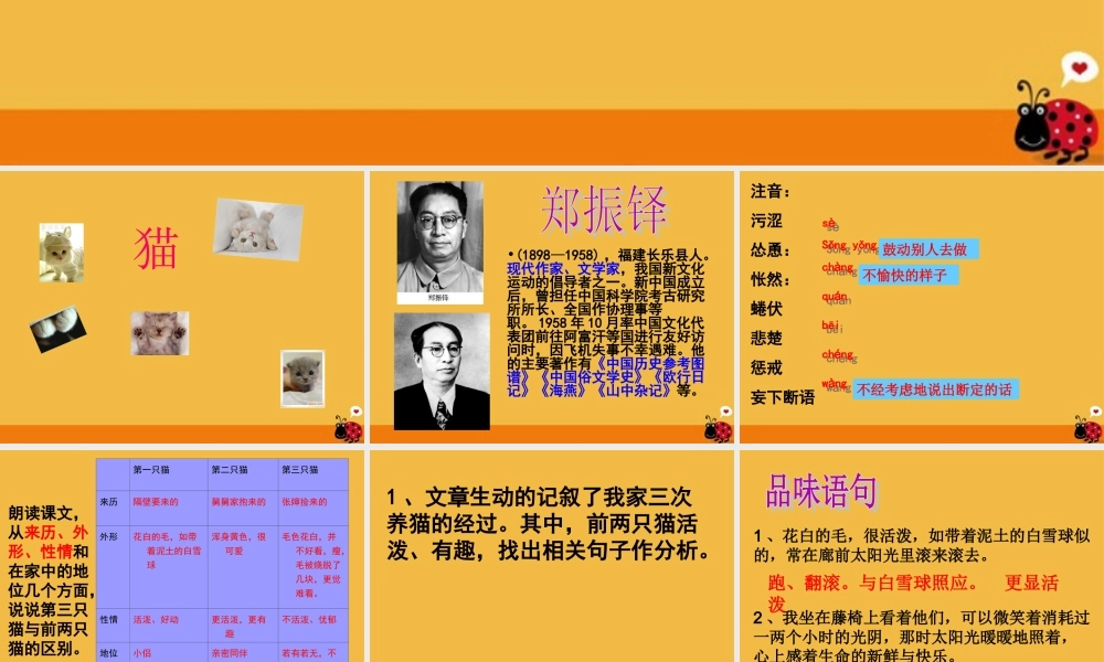 七年级语文下册 猫课件 人教新课标版 课件