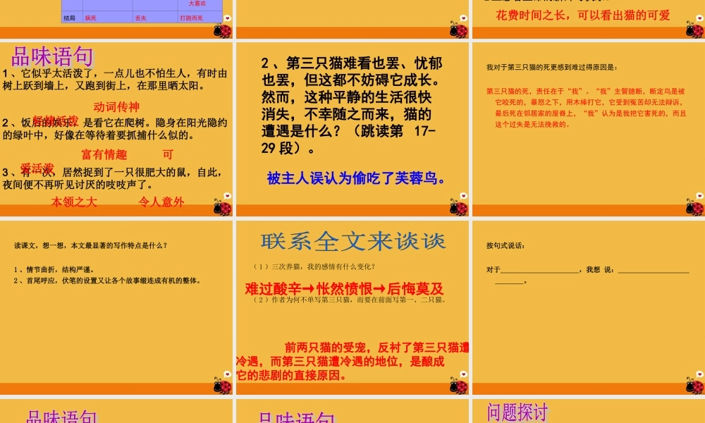 七年级语文下册 猫课件 人教新课标版 课件