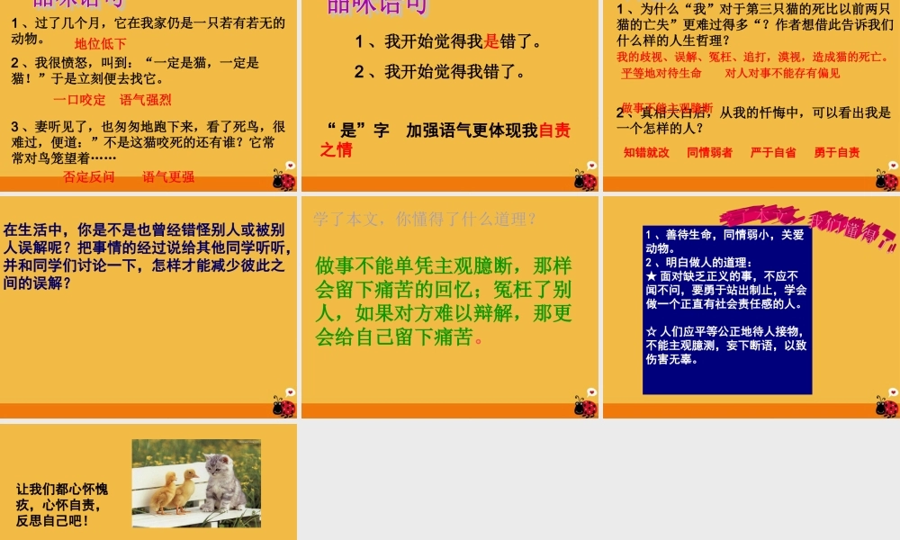 七年级语文下册 猫课件 人教新课标版 课件