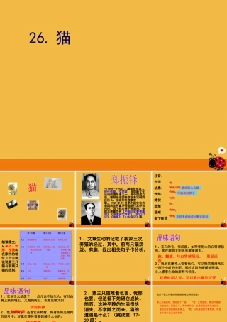 七年级语文下册 猫课件 人教新课标版 课件