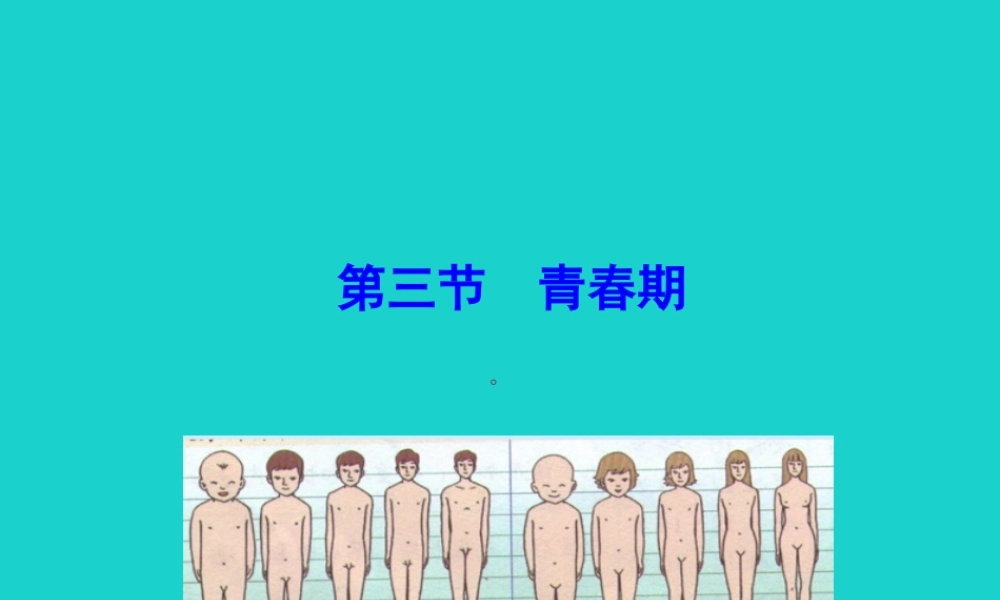 七年级生物下册 4.1.3 青春期课件(新版)新人教版 课件