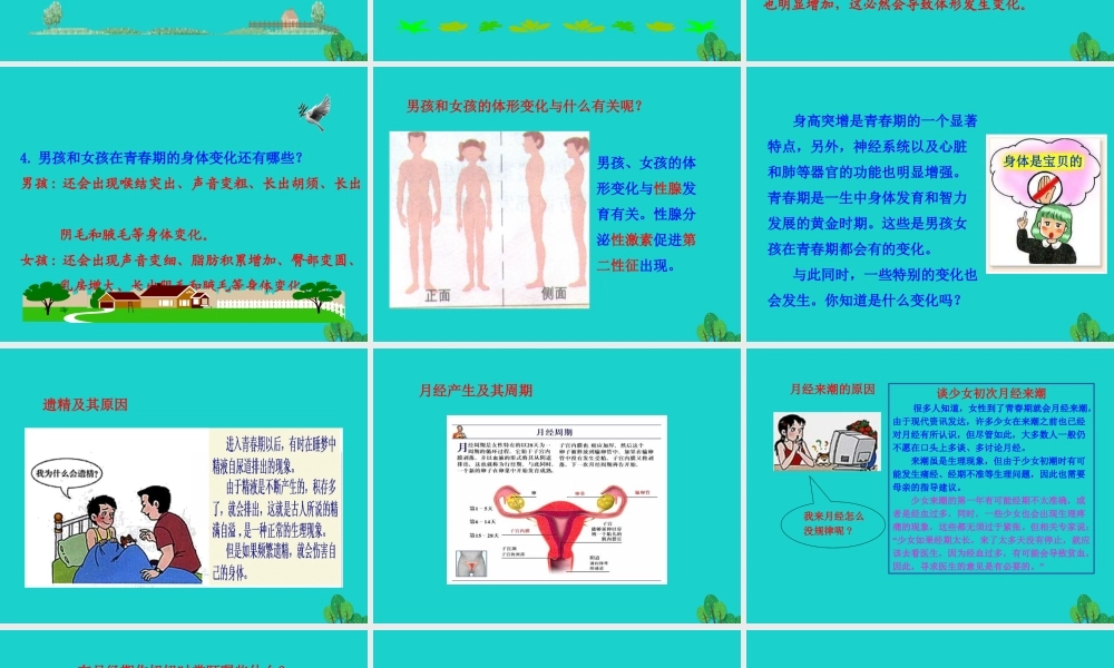 七年级生物下册 4.1.3 青春期课件(新版)新人教版 课件