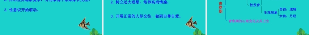 七年级生物下册 4.1.3 青春期课件(新版)新人教版 课件