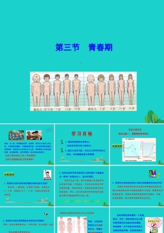 七年级生物下册 4.1.3 青春期课件(新版)新人教版 课件