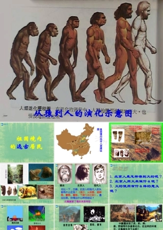 中学秋七年级历史上册 第1课 祖国境内的远古居民课件 (新版)新人教版 课件