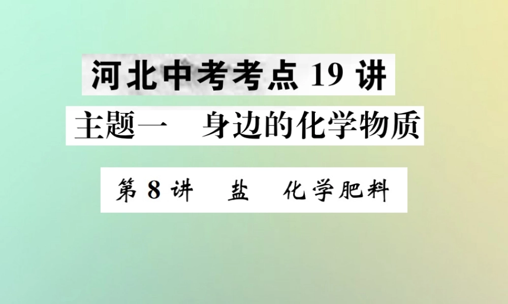 中考化学复习 主题一 身边的化学物质 第8讲 盐 化学肥料课件