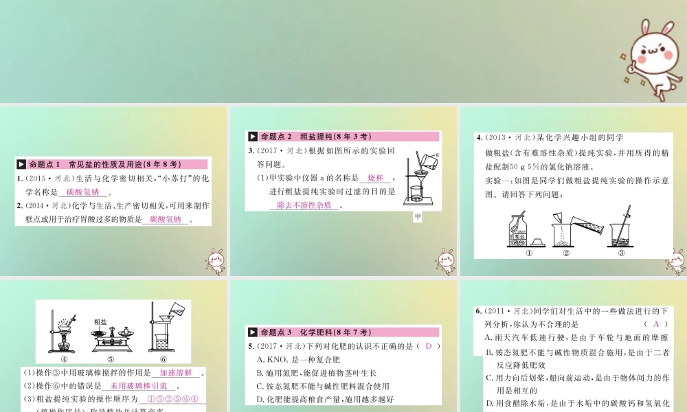 中考化学复习 主题一 身边的化学物质 第8讲 盐 化学肥料课件