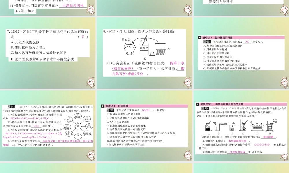 中考化学复习 主题一 身边的化学物质 第8讲 盐 化学肥料课件