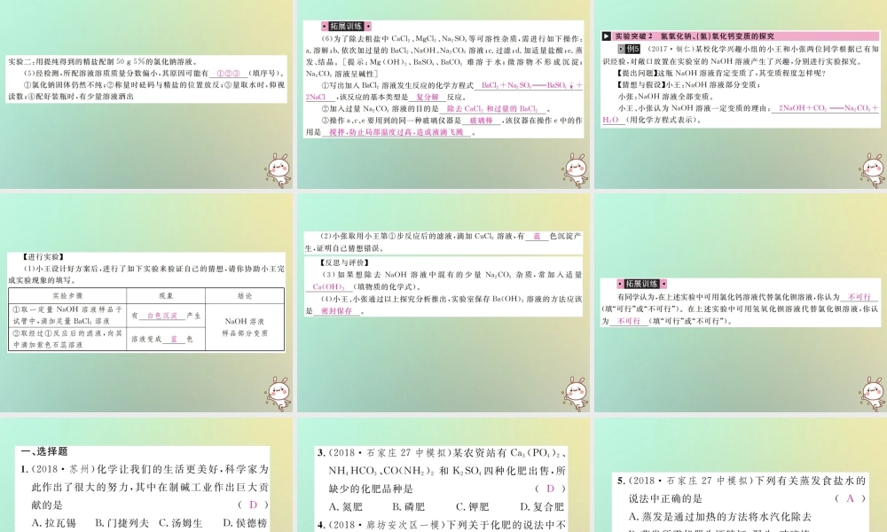 中考化学复习 主题一 身边的化学物质 第8讲 盐 化学肥料课件