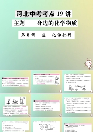 中考化学复习 主题一 身边的化学物质 第8讲 盐 化学肥料课件