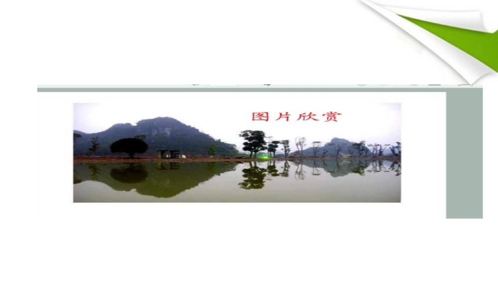 七年级数学下册 设计轴对称图案课件 华东师大版 课件