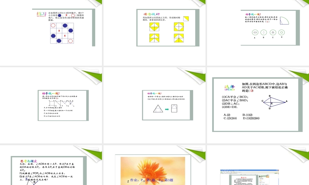 七年级数学下册 设计轴对称图案课件 华东师大版 课件