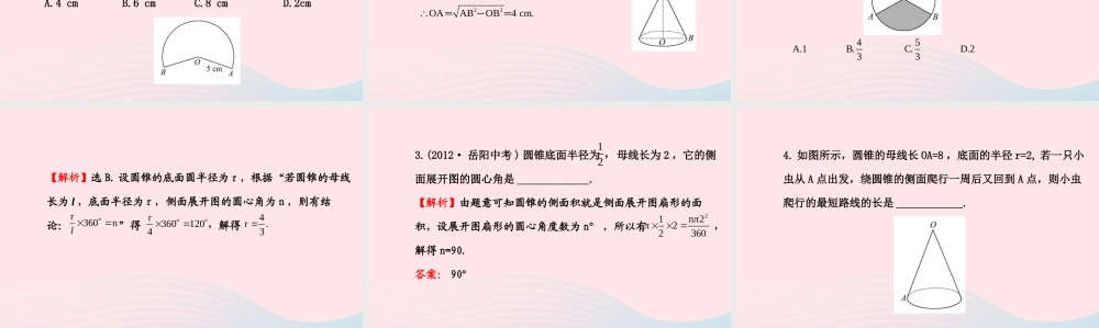 九年级数学下册 第三章圆 8圆锥的侧面积习题课件 北师大版 课件