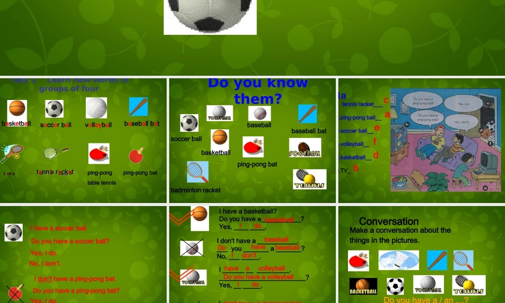 七年级英语上册 Unit 5 Do you have a soccer ball课件 (新版)人教新目标版 课件