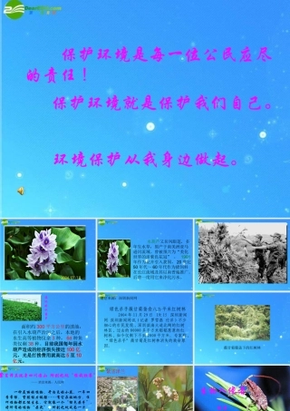 七年级语文下册 (生物入侵者)课件(二) 鲁教版 课件