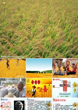 九年级语文上册 多收了三五斗课件  苏教版 课件