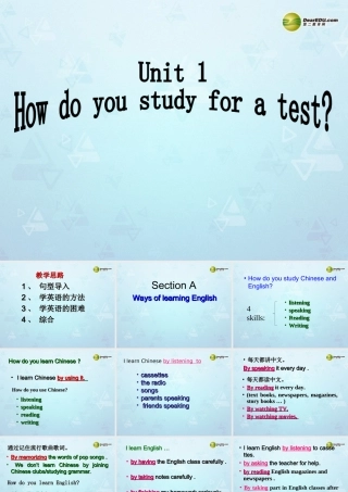 九年级英语全册(Unit 1 How do you study for a test)Section A课件 人教新目标版 课件