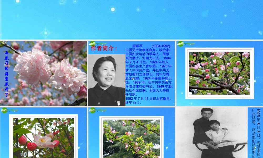 九年级语文上册 第3课(西花厅的海棠花又开了)课件 语文版 课件