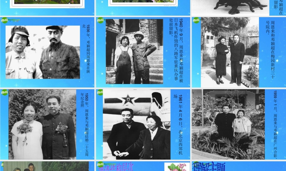 九年级语文上册 第3课(西花厅的海棠花又开了)课件 语文版 课件