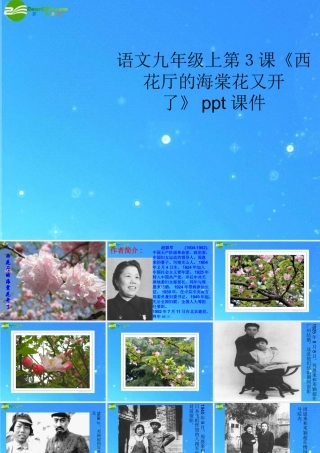 九年级语文上册 第3课(西花厅的海棠花又开了)课件 语文版 课件