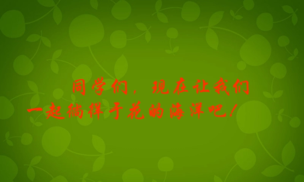 八年级语文上册 29 送你一束转基因花课件 苏教版 课件