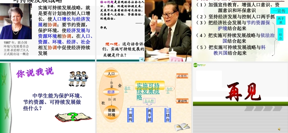 九年级政治 第四课 第四框 可持续发展 人教新课标版 试题