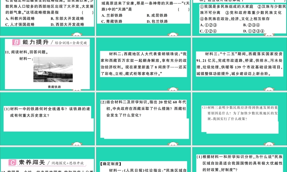 春八年级历史下册 第四单元 民族团结与祖国统一 第12课 民族大团结习题课件 新人教版 课件