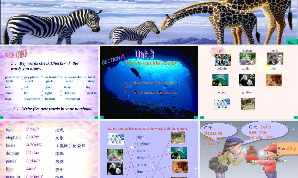 七年级英语unit3 Why do you like koalas 课件人教版 课件