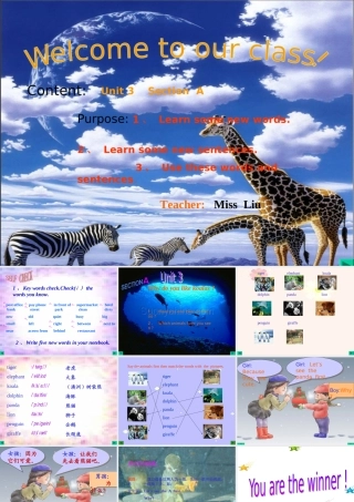 七年级英语unit3 Why do you like koalas 课件人教版 课件