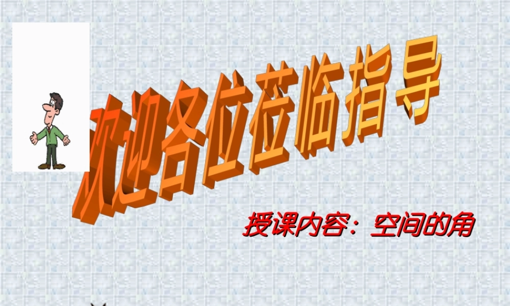 广东省高二数学空间中的角复习课件