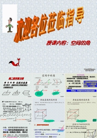 广东省高二数学空间中的角复习课件