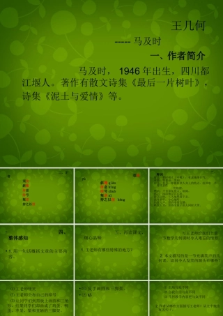 中学七年级语文上册 9 王几何课件 (新版)新人教版 课件