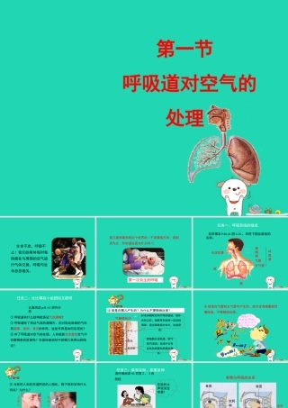 七年级生物下册 4.3.1(呼吸道对空气的处理)探究课件 (新版)新人教版 课件
