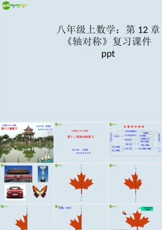 八年级数学上册 第12章(轴对称)复习课件 新人教版 课件