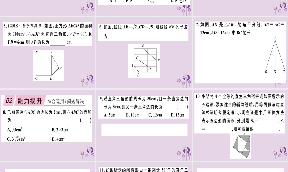 八年级数学下册 第十七章(勾股定理)17.1 勾股定理 17.1.1 勾股定理习题课件 (新版)新人教版 课件