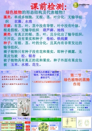 七年级生物上册 第二节 绿色植物的蒸腾作用 济南版 试题