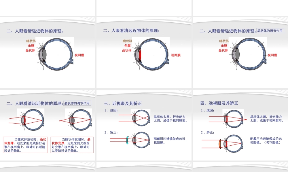 八年级物理上册 3.4眼睛和眼镜课件 人教新课标版 课件