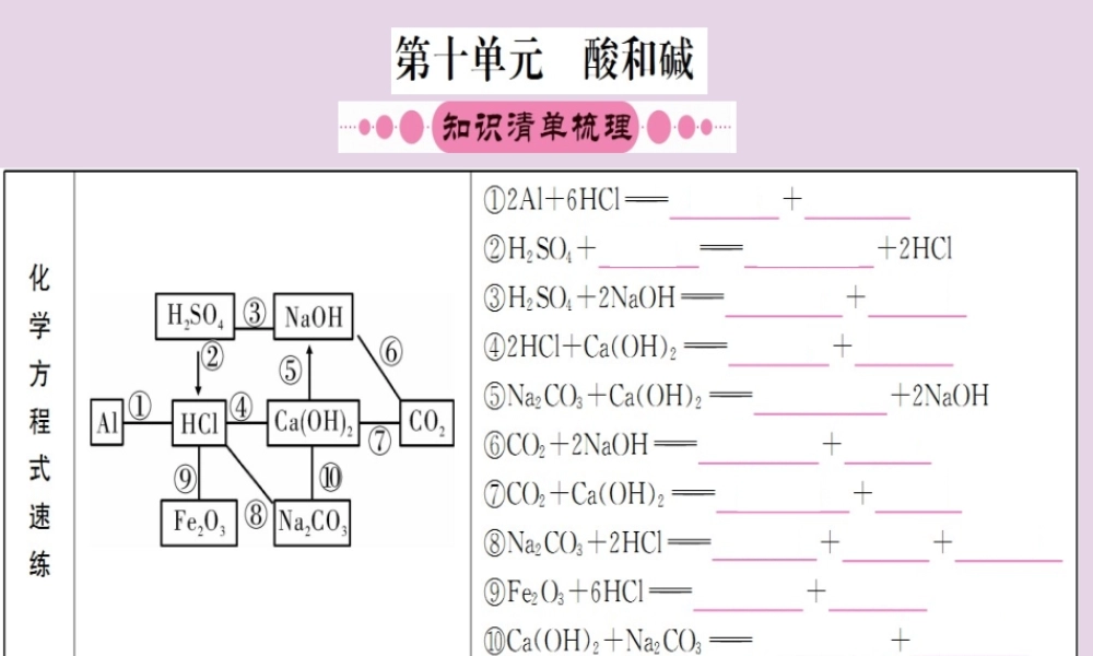 云南省中考化学一轮考点复习 第十单元 酸和碱课件