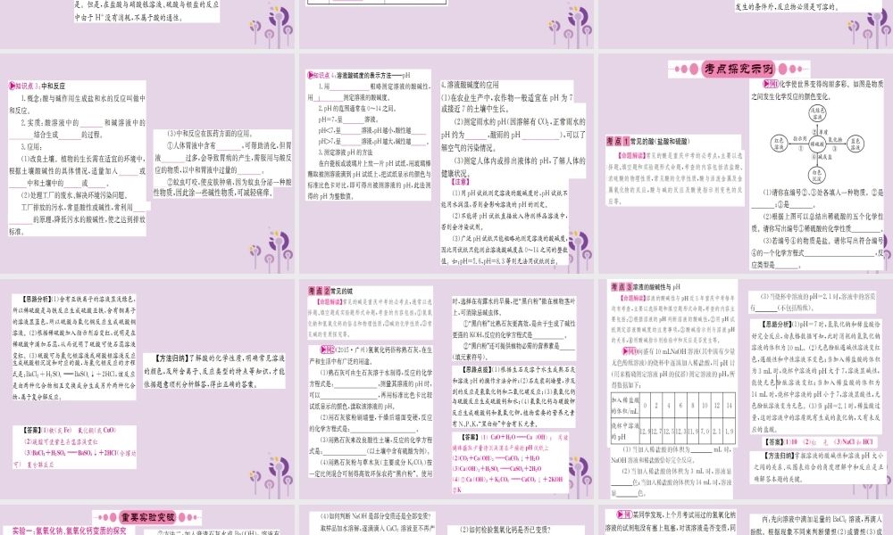 云南省中考化学一轮考点复习 第十单元 酸和碱课件