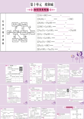 云南省中考化学一轮考点复习 第十单元 酸和碱课件