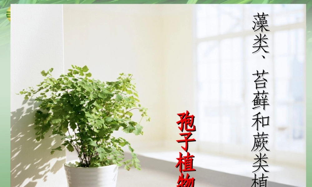 七年级生物上册 第一节 藻类苔藓和蕨类植物课件 新人教版 课件